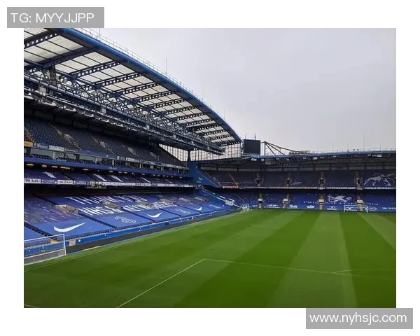 十七位足球明星的传奇故事与他们在绿茵场上的辉煌成就分享